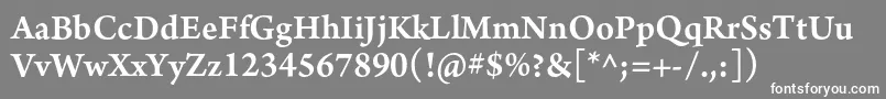 ArnoproSemibold10pt Font – White Fonts on Gray Background