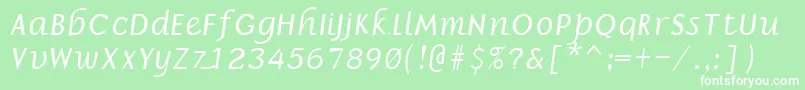 フォントBorrorItalic – 緑の背景に白い文字