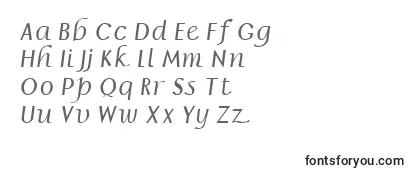 BorrorItalic-fontti