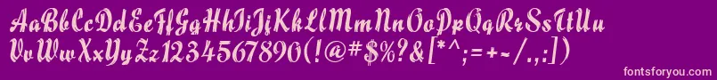 MaizeMf Font – Pink Fonts on Purple Background