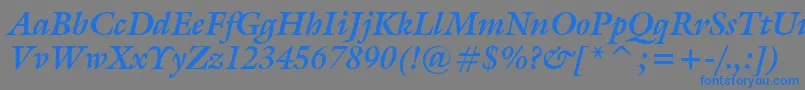 GalleryBoldItalic Font – Blue Fonts on Gray Background