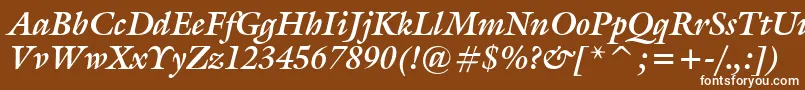 GalleryBoldItalic Font – White Fonts on Brown Background