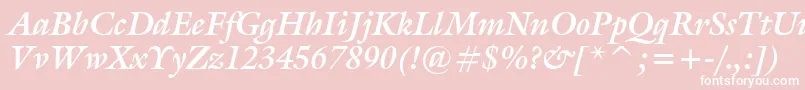 GalleryBoldItalic Font – White Fonts on Pink Background