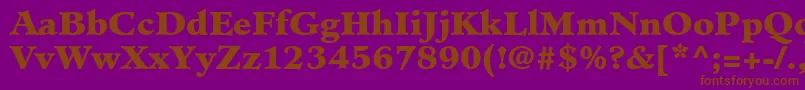 MinisterLtBlack Font – Brown Fonts on Purple Background