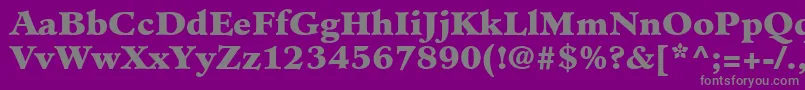 MinisterLtBlack Font – Gray Fonts on Purple Background