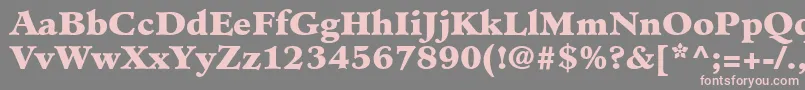 MinisterLtBlack Font – Pink Fonts on Gray Background