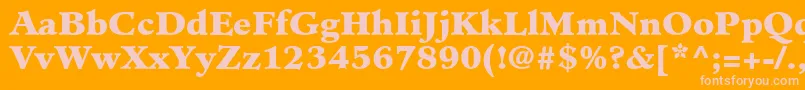 MinisterLtBlack Font – Pink Fonts on Orange Background