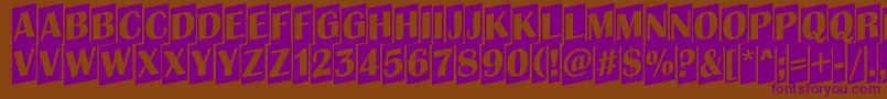 Albion8 Font – Purple Fonts on Brown Background