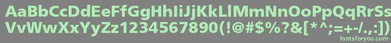 FrutigerltstdBlack Font – Green Fonts on Gray Background