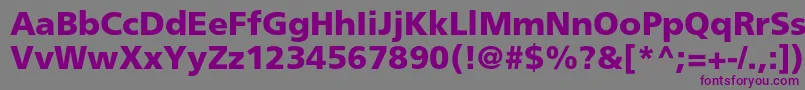 FrutigerltstdBlack Font – Purple Fonts on Gray Background