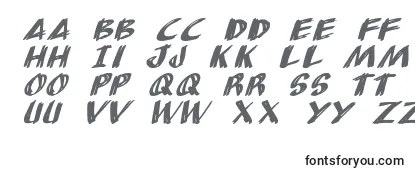 AnudawItalic Font
