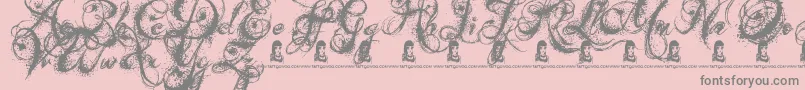 Czcionka AngelsMessage – szare czcionki na różowym tle
