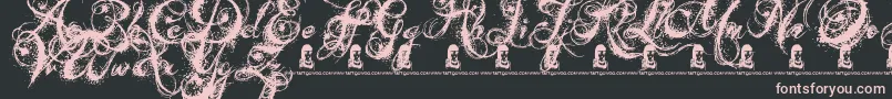 AngelsMessage Font – Pink Fonts on Black Background