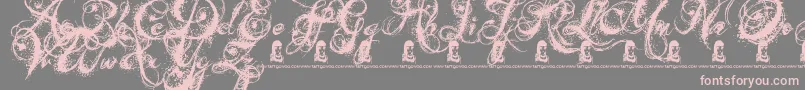 fuente AngelsMessage – Fuentes Rosadas Sobre Fondo Gris
