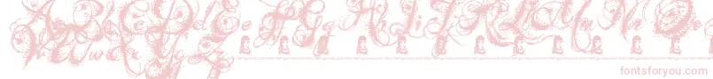 AngelsMessage Font – Pink Fonts on White Background