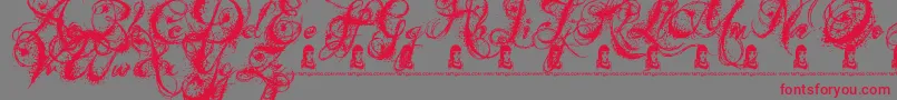 AngelsMessage Font – Red Fonts on Gray Background