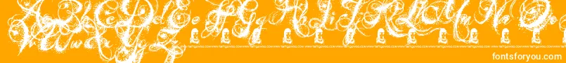 AngelsMessage Font – White Fonts on Orange Background