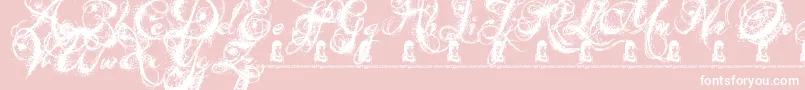 AngelsMessage Font – White Fonts on Pink Background