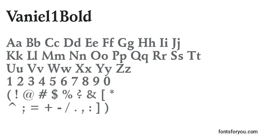 A fonte Vaniel1Bold – alfabeto, números, caracteres especiais