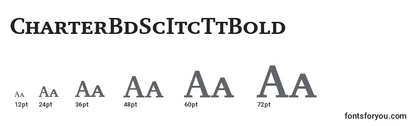 CharterBdScItcTtBold Font Sizes