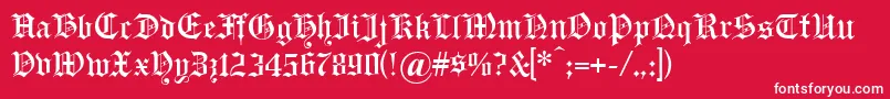 Headline Font – White Fonts on Red Background
