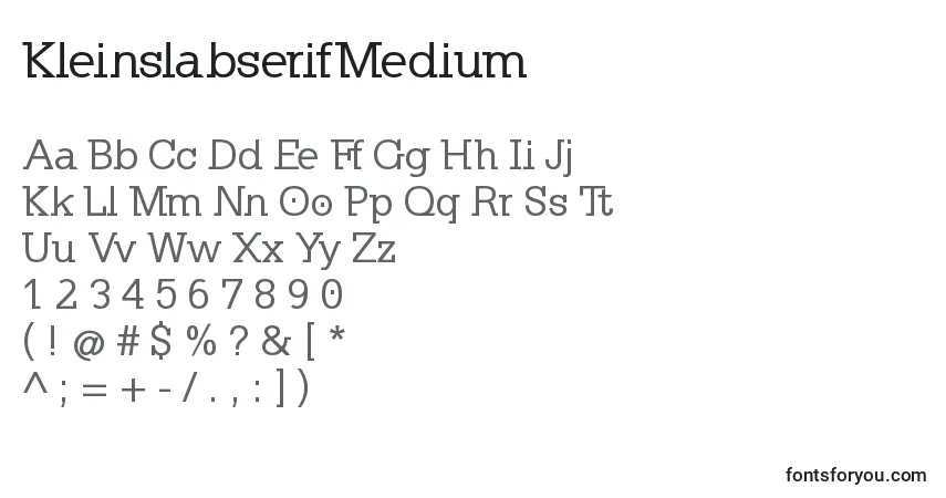 Шрифт KleinslabserifMedium – алфавит, цифры, специальные символы