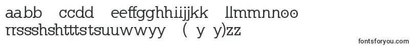 KleinslabserifMedium Font – Hausa Fonts