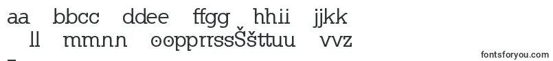 KleinslabserifMedium Font – Latvian Fonts