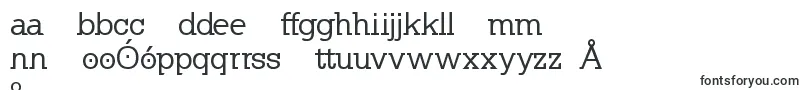 KleinslabserifMedium Font – Polish Fonts