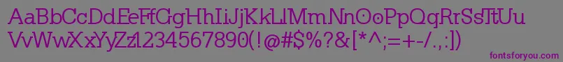 KleinslabserifMedium Font – Purple Fonts on Gray Background