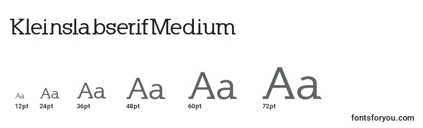 KleinslabserifMedium Font Sizes