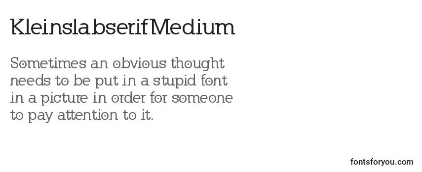 Review of the KleinslabserifMedium Font
