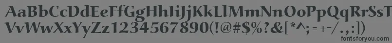 More about Aucoinextbol Font Aucoinextbol Font – Black Fonts on Gray Background