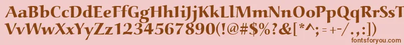 Aucoinextbol Font – Brown Fonts on Pink Background