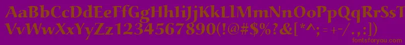 Шрифт Aucoinextbol – коричневые шрифты на фиолетовом фоне