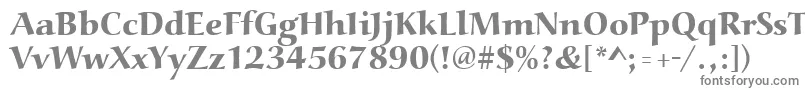 フォントAucoinextbol – 白い背景に灰色の文字