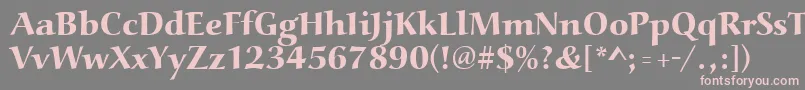 Aucoinextbol Font – Pink Fonts on Gray Background