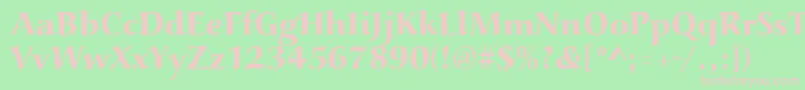 Aucoinextbol Font – Pink Fonts on Green Background