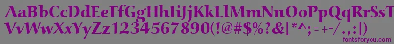 More about Aucoinextbol Font Aucoinextbol Font – Purple Fonts on Gray Background