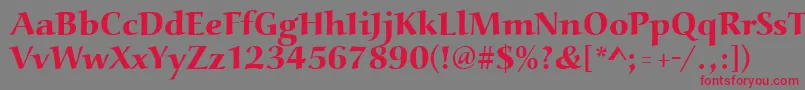 Aucoinextbol Font – Red Fonts on Gray Background