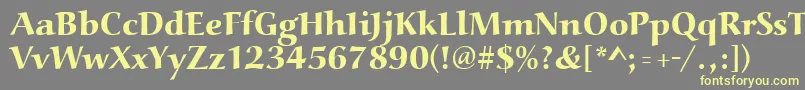 Aucoinextbol Font – Yellow Fonts on Gray Background