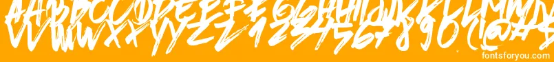 BrushedTraveler Font – White Fonts on Orange Background