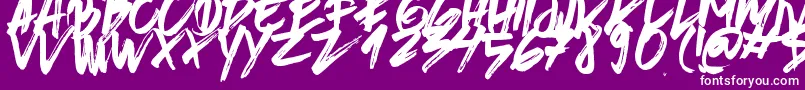 BrushedTraveler-Schriftart – Weiße Schriften auf violettem Hintergrund