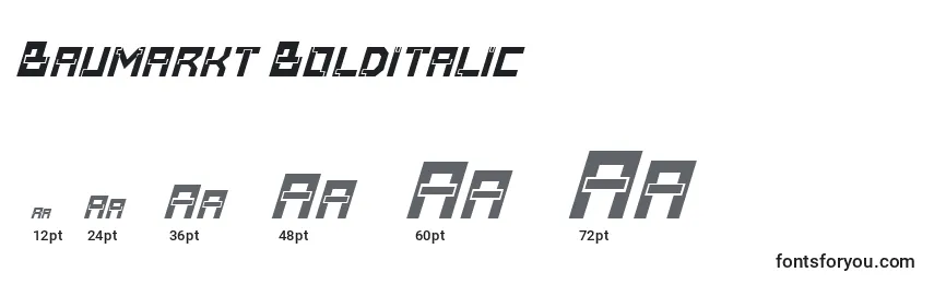 Baumarkt Bolditalic Font Sizes