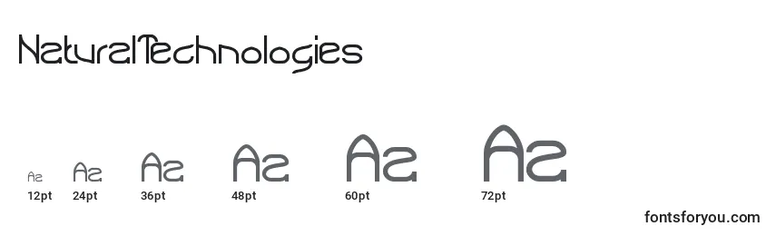 NaturalTechnologies Font Sizes
