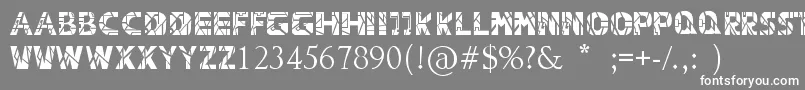 フォントCapitalRevolution – 灰色の背景に白い文字