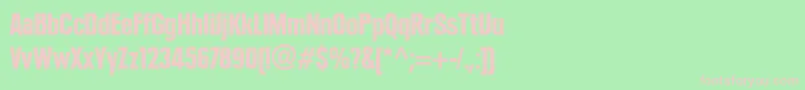 PlakLtBlackCondensed Font – Pink Fonts on Green Background