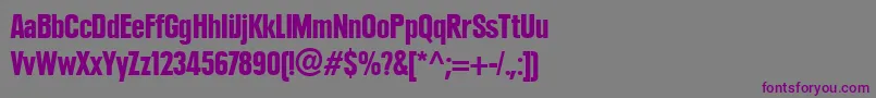 PlakLtBlackCondensed Font – Purple Fonts on Gray Background