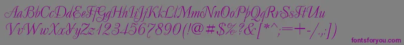Шрифт DecorRegular – фиолетовые шрифты на сером фоне
