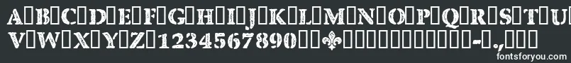 CfquebecstampRegular Font – White Fonts on Black Background